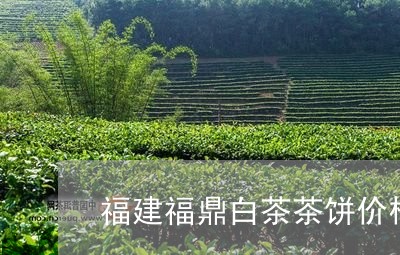 福建福鼎白茶茶饼价格/2023091527462