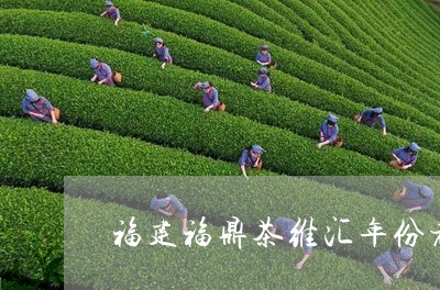 福建福鼎茶维汇年份老白茶/2023042666938