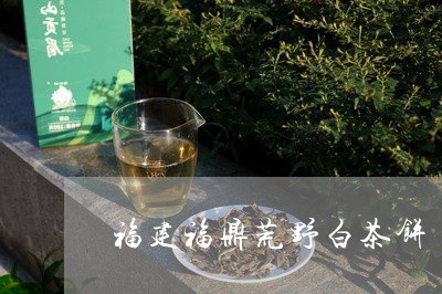 福建福鼎荒野白茶饼/2023091353726