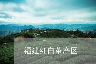 福建红白茶产区/2023060776460