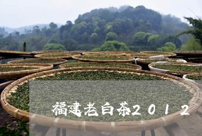 福建老白茶2012/2023120527369