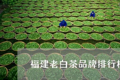 福建老白茶品牌排行榜最新图片/2023111435168