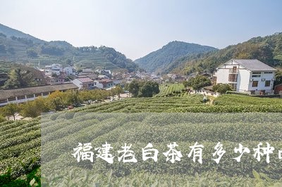 福建老白茶有多少种口味/2023092248614