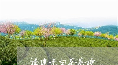 福建老白茶茶梗/2023060899826