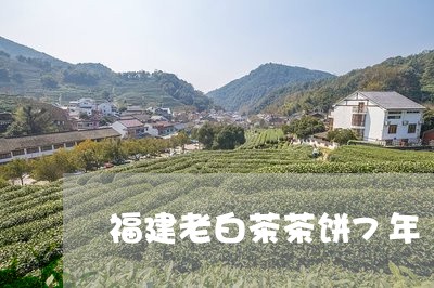 福建老白茶茶饼7年/2023091384615