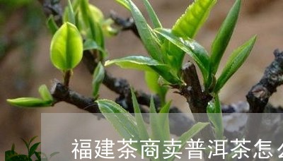 福建茶商卖普洱茶怎么样/2023120780404