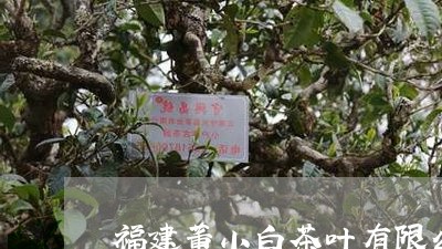 福建董小白茶叶有限公司/2023110263725