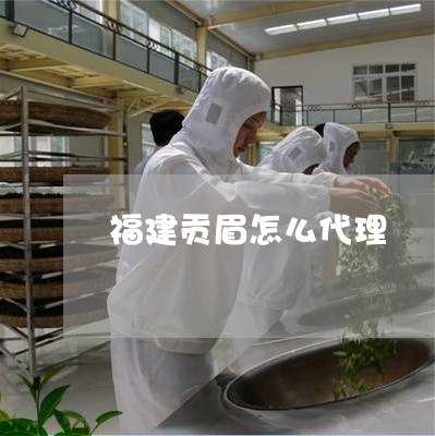 福建贡眉怎么代理/2023070752825