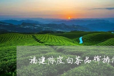 福建陈皮白茶品牌排行第一/2023110962582