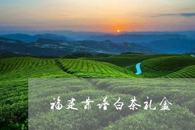 福建靠谱白茶礼盒/2023090528360