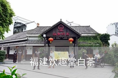 福建饮趣堂白茶/2023060865148