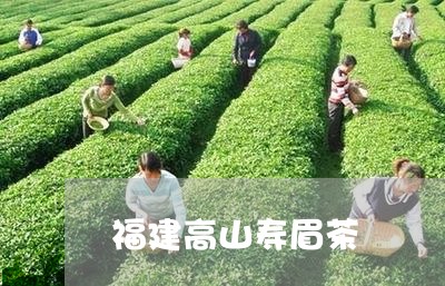 福建高山寿眉茶/2023060827179