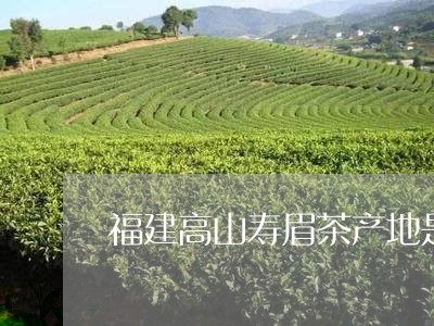 福建高山寿眉茶产地是哪里/2023042519261