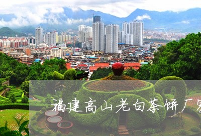 福建高山老白茶饼厂家/2023092039693