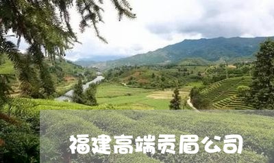 福建高端贡眉公司/2023070795940