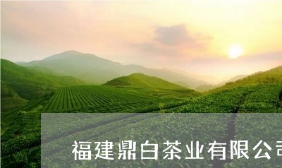 福建鼎白茶业有限公司基地/2023110990504