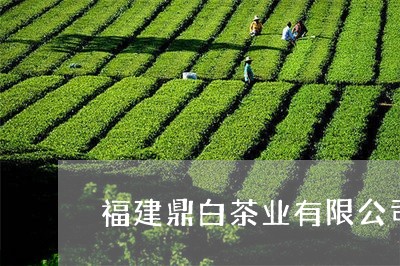 福建鼎白茶业有限公司文化/2023042532725