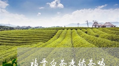 福晋白茶是绿茶吗/2023070771694