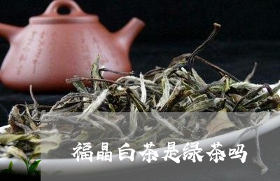 福晶白茶是绿茶吗/2023070744837