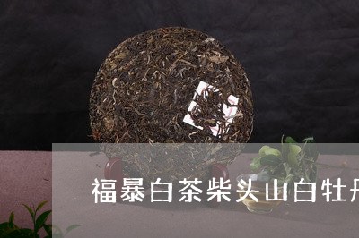 福暴白茶柴头山白牡丹/2023120955260