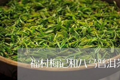 福村梅记和八马普洱茶/2023072290714