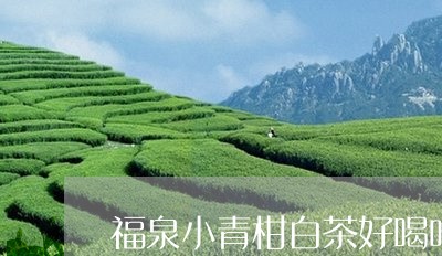 福泉小青柑白茶好喝吗/2023042583826