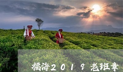 福海2019老班章/2023042716693