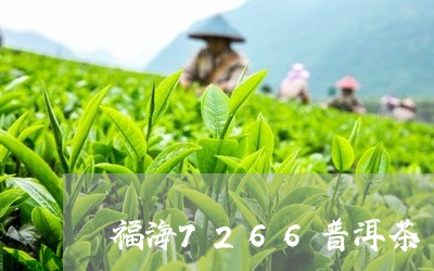 福海7266普洱茶/2023091581926