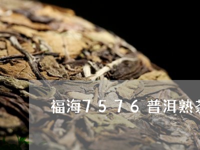 福海7576普洱熟茶/2023092593816