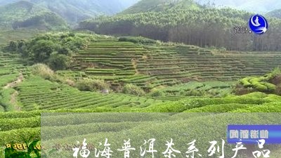 福海普洱茶系列产品/2023110845137