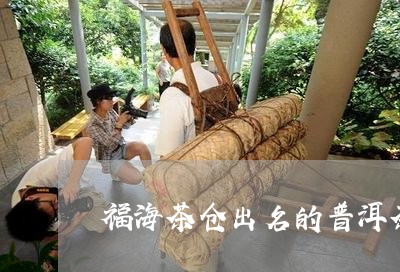 福海茶仓出名的普洱茶/2023080342713