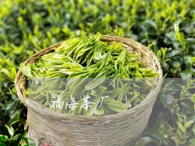 福海茶厂/2023121905258