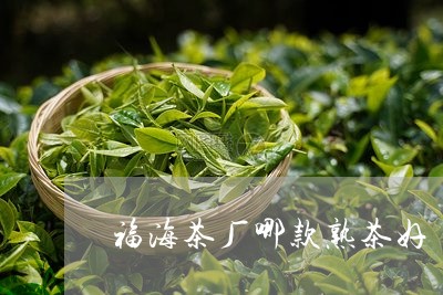 福海茶厂哪款熟茶好/2023042526350