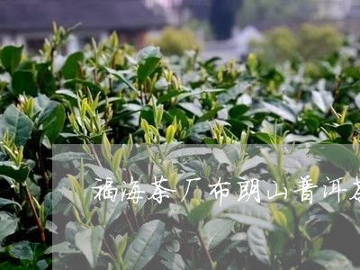 福海茶厂布朗山普洱茶/2023080344161