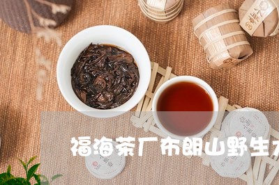 福海茶厂布朗山野生大树茶/2023051135471