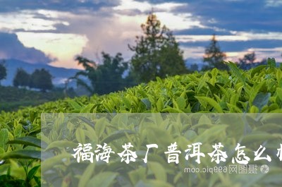 福海茶厂普洱茶怎么样好喝吗/2023102570503