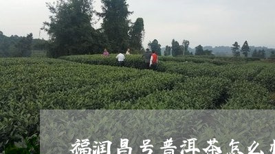 福润昌号普洱茶怎么样/2023061437030