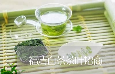 福清白茶茶叶招商/2023070738714