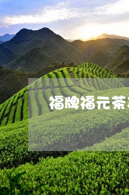 福牌福元茶功效福茶属于什么茶/2023060157263