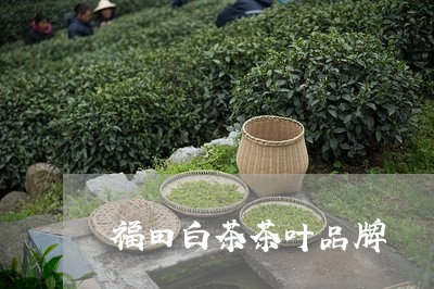 福田白茶茶叶品牌/2023070759370