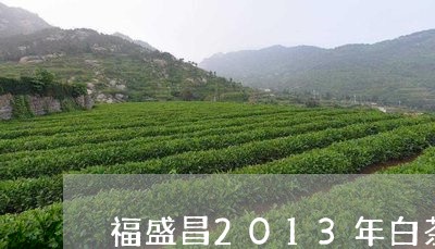 福盛昌2013年白茶/2023092852725