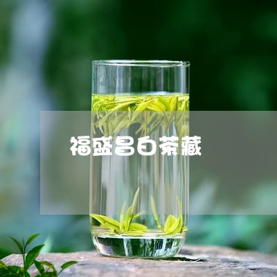 福盛昌白茶藏/2023052246169