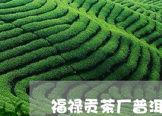 福禄贡茶厂普洱茶价格/2023080272806