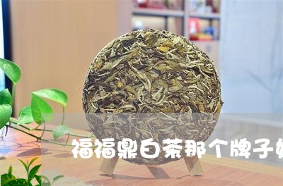 福福鼎白茶那个牌子好/2023120839692