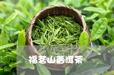 福茗山普洱茶/2023042848591