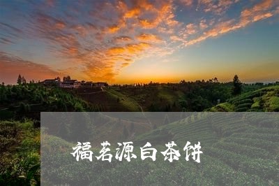 福茗源白茶饼/2023052253605