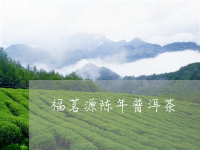 福茗源陈年普洱茶/2023110904481