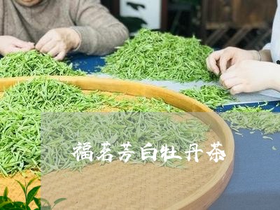 福茗芳白牡丹茶/2023060893927