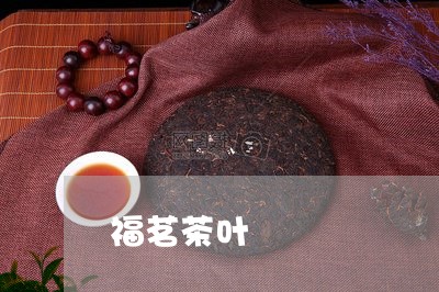 福茗茶叶/2023090134046