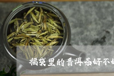 福袋里的普洱茶好不好/2023120645059